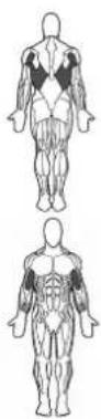 BOWFLEX SelectTech BD1090i - Erfolgstipps - 1