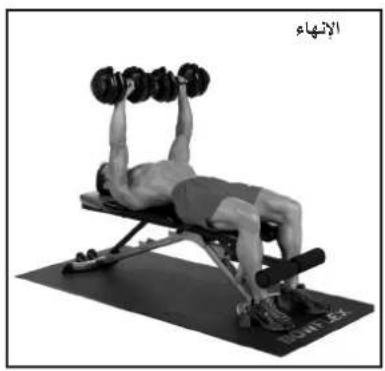 BOWFLEX SelectTech BD1090i - gannnnaa - 1