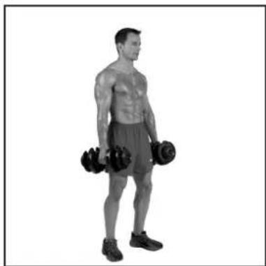 BOWFLEX SelectTech BD1090i - # - 79