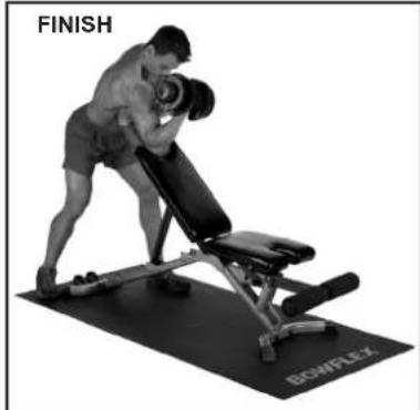 BOWFLEX SelectTech BD1090i - Scott Curls - Standing Concentration Curls - 3