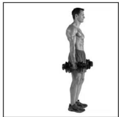 BOWFLEX SelectTech BD1090i - # - 37