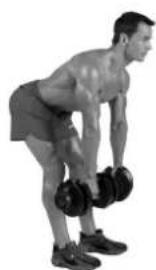 BOWFLEX SelectTech BD1090i - Muscles worked - 3