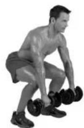 BOWFLEX SelectTech BD1090i - Músculoseworkhados - 2