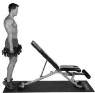 BOWFLEX SelectTech BD1090i - Calf Raises - 3