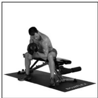 BOWFLEX SelectTech BD1090i - # - 62