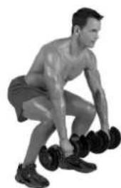 BOWFLEX SelectTech BD1090i - Muscoli evaporati - 2