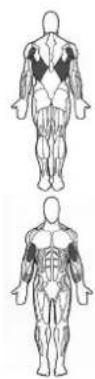 BOWFLEX SelectTech BD1090i - g - 3