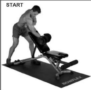 BOWFLEX SelectTech BD1090i - Scott Curls - Standing Concentration Curls - 2