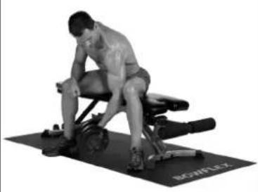BOWFLEX SelectTech BD1090i - Bankposition - 2