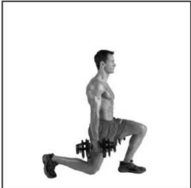 BOWFLEX SelectTech BD1090i - Muscles worked - 3