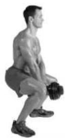 BOWFLEX SelectTech BD1090i - Dicas de succès: - 3