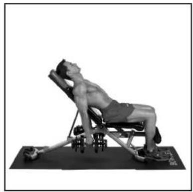 BOWFLEX SelectTech BD1090i - # - 64