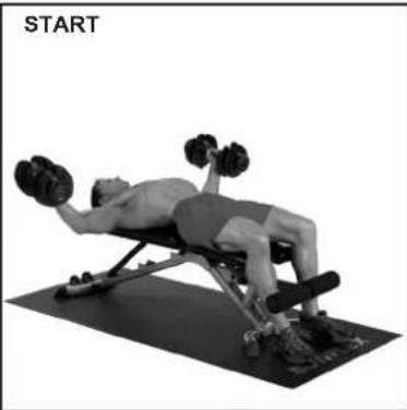 BOWFLEX SelectTech BD1090i - Flat Chest Fly - 2