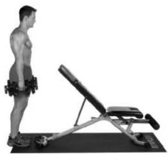 BOWFLEX SelectTech BD1090i - Consejos para el exito - 2