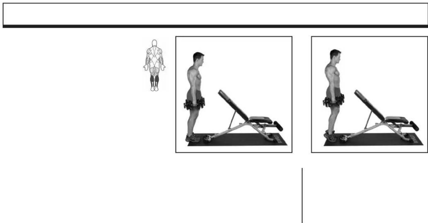 BOWFLEX SelectTech BD1090i - # - 29