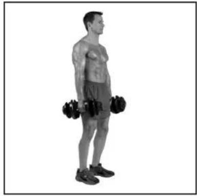 BOWFLEX SelectTech BD1090i - Success tips - 2