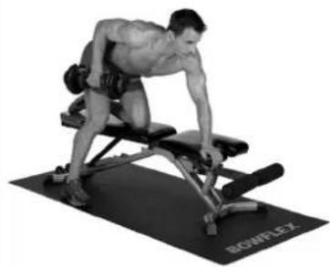 BOWFLEX SelectTech BD1090i - Músculos Trabalhados - 2