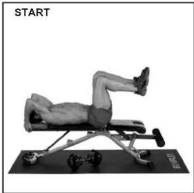 BOWFLEX SelectTech BD1090i - Bankposition - 2