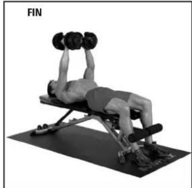 BOWFLEX SelectTech BD1090i - Consejos para el exito - 3