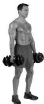 BOWFLEX SelectTech BD1090i - Músculos ejercitados - 2