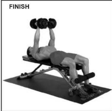 BOWFLEX SelectTech BD1090i - Flat Chest Fly - 3