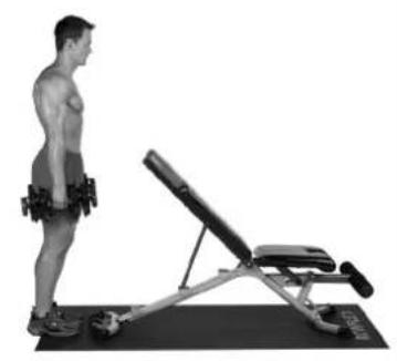 BOWFLEX SelectTech BD1090i - Wadenheben - 2