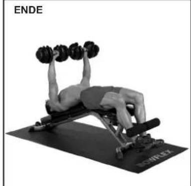 BOWFLEX SelectTech BD1090i - Erfolgstipps - 3