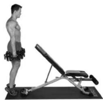 BOWFLEX SelectTech BD1090i - Levantamento de Gêmeos - 3