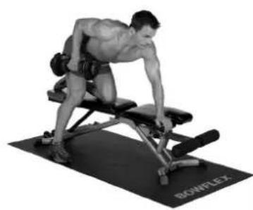 BOWFLEX SelectTech BD1090i - Bankposition - 2