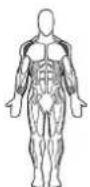 BOWFLEX SelectTech BD1090i - Success tips - 1
