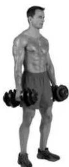 BOWFLEX SelectTech BD1090i - Biceps, braquioradial e braquial - 2