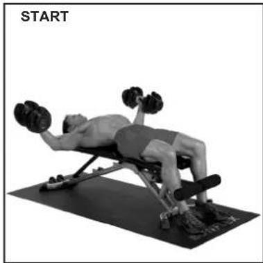 BOWFLEX SelectTech BD1090i - Flat Chest Fly - 2