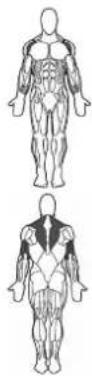 BOWFLEX SelectTech BD1090i - Erfolgstipps - 1