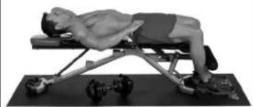 BOWFLEX SelectTech BD1090i - Músculos tratalhados Reto - 2