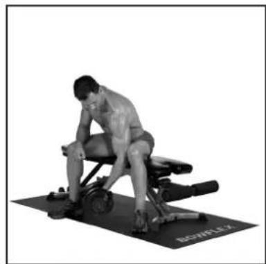 BOWFLEX SelectTech BD1090i - # - 61