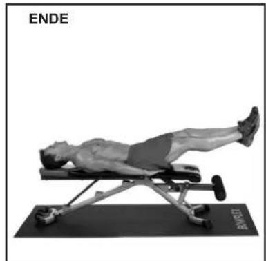 BOWFLEX SelectTech BD1090i - Bankposition - 3