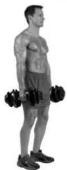 BOWFLEX SelectTech BD1090i - Erfolgstipps - 3