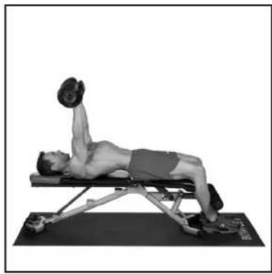 BOWFLEX SelectTech BD1090i - # - 77