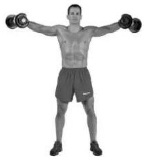BOWFLEX SelectTech BD1090i - Lateral Raise - 3