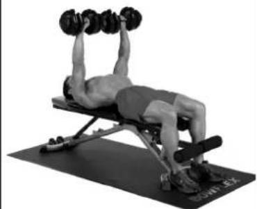 BOWFLEX SelectTech BD1090i - Consejos para el exito - 3