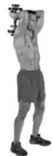 BOWFLEX SelectTech BD1090i - Muscles Worked - 2