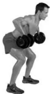 BOWFLEX SelectTech BD1090i - Consigli per il successo - 3