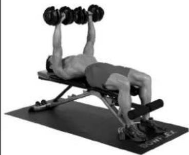 BOWFLEX SelectTech BD1090i - Erfolgstipps - 4