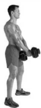 BOWFLEX SelectTech BD1090i - Dicas de succès: - 2