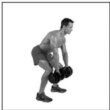 BOWFLEX SelectTech BD1090i - # - 85