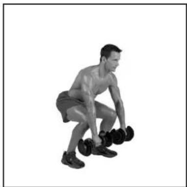 BOWFLEX SelectTech BD1090i - # - 119