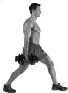 BOWFLEX SelectTech BD1090i - Muscles worked - 2