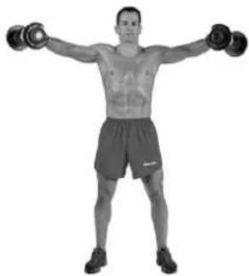 BOWFLEX SelectTech BD1090i - Sollevamento laterale - 3