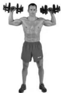 BOWFLEX SelectTech BD1090i - Erfolgstipps - 2