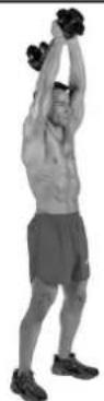 BOWFLEX SelectTech BD1090i - Muscles Worked - 3